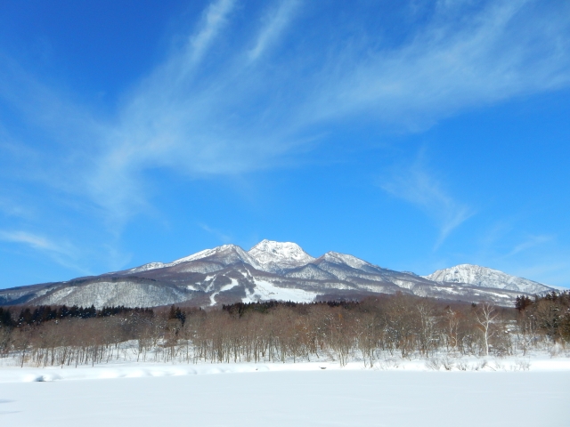 新潟県