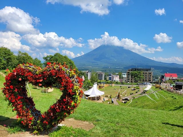 夏のニセコも自然たっぷりで魅力的！