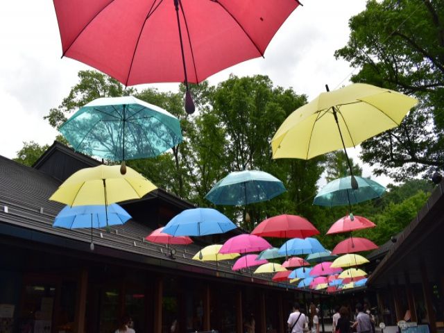 有名観光地軽井沢でのお仕事！