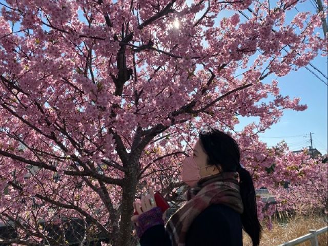 ＼高時給・稼ぎ◎／
わんちゃんと泊まれるお宿のお仕事です☆