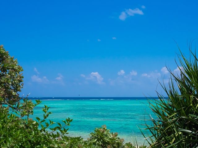 休日はビーチに行こう♪東洋一美しいと言われる海が広がっています！